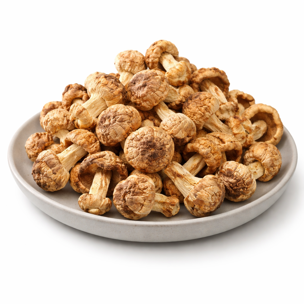 Premium Agaricus Subrufescens