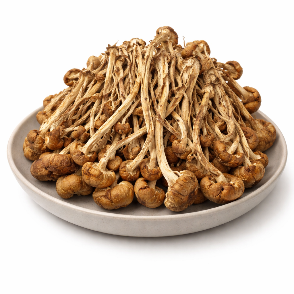 Premium Cyclocybe Aegerita