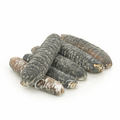 Mid East Sea Cucumber