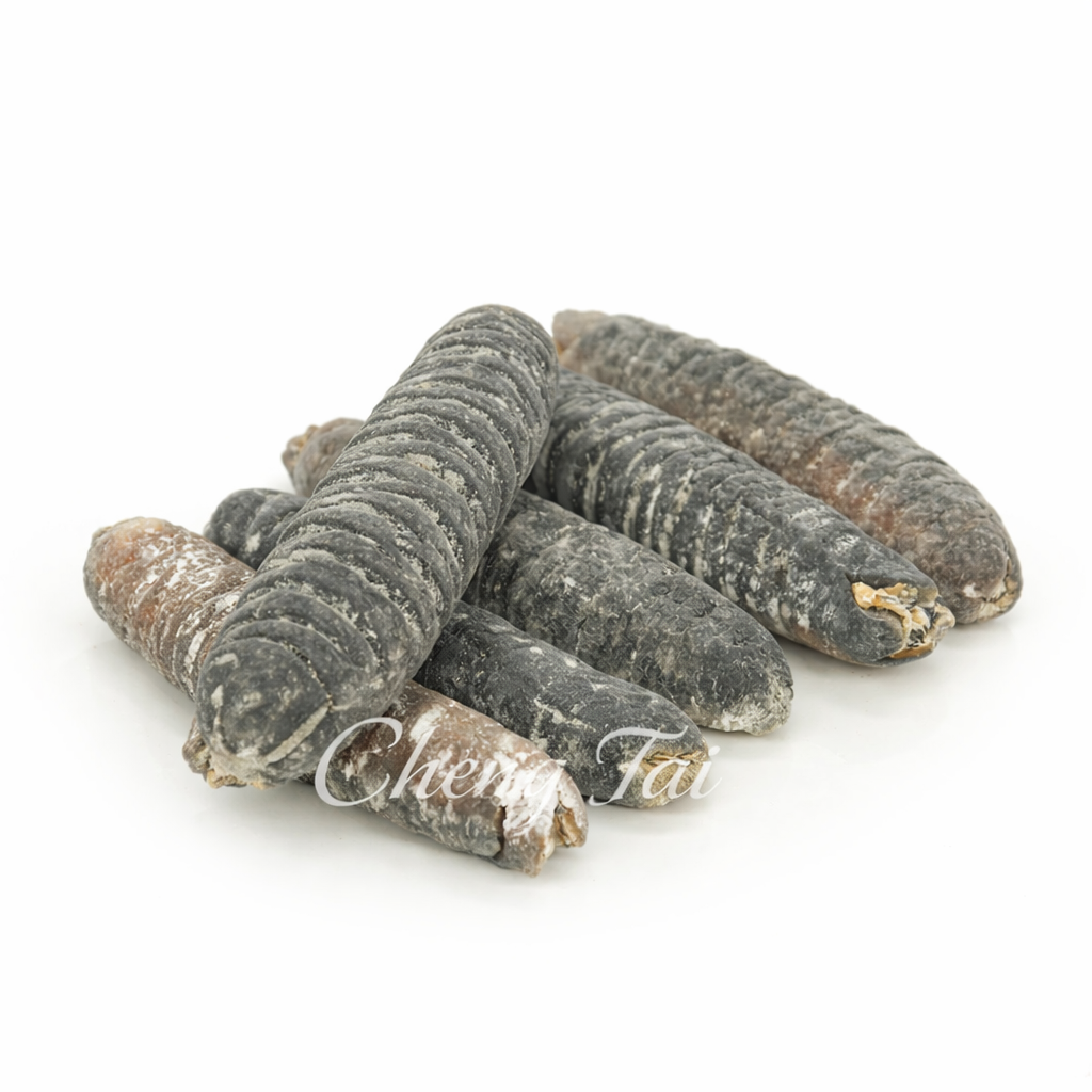 Mid East Sea Cucumber